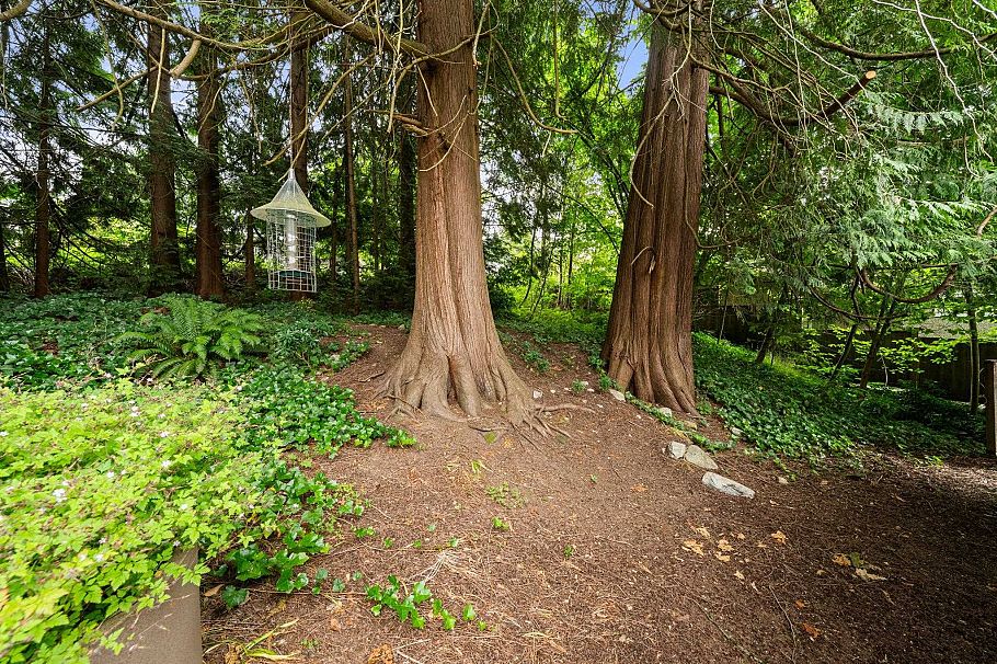 338 E Osborne Road North Vancouver, BC - 15