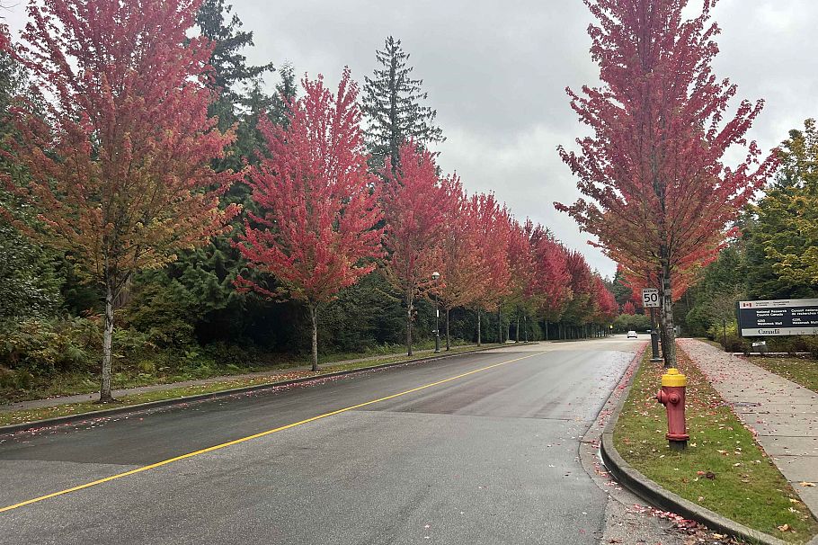 214 5788 Birney Avenue Vancouver, BC - 13