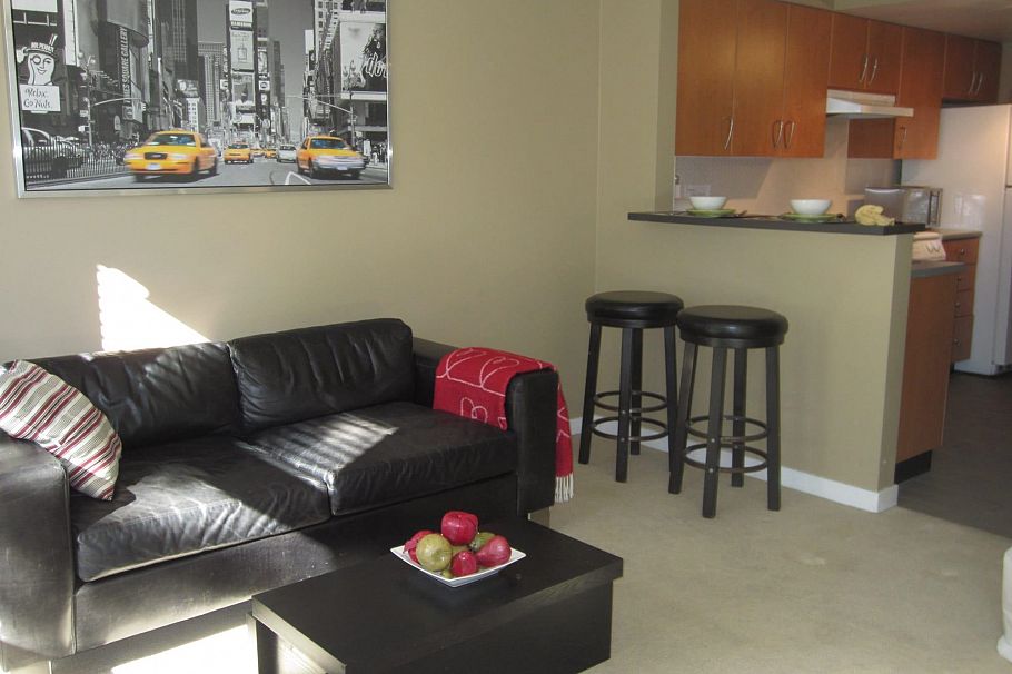 302 1295 Richards Street Vancouver, BC - 4