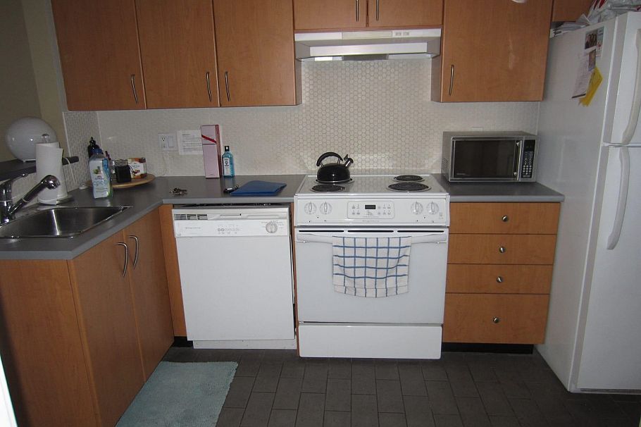 302 1295 Richards Street Vancouver, BC - 8