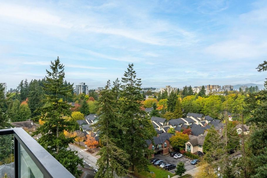 1106 5380 Crooked Branch Road Vancouver, BC - 19