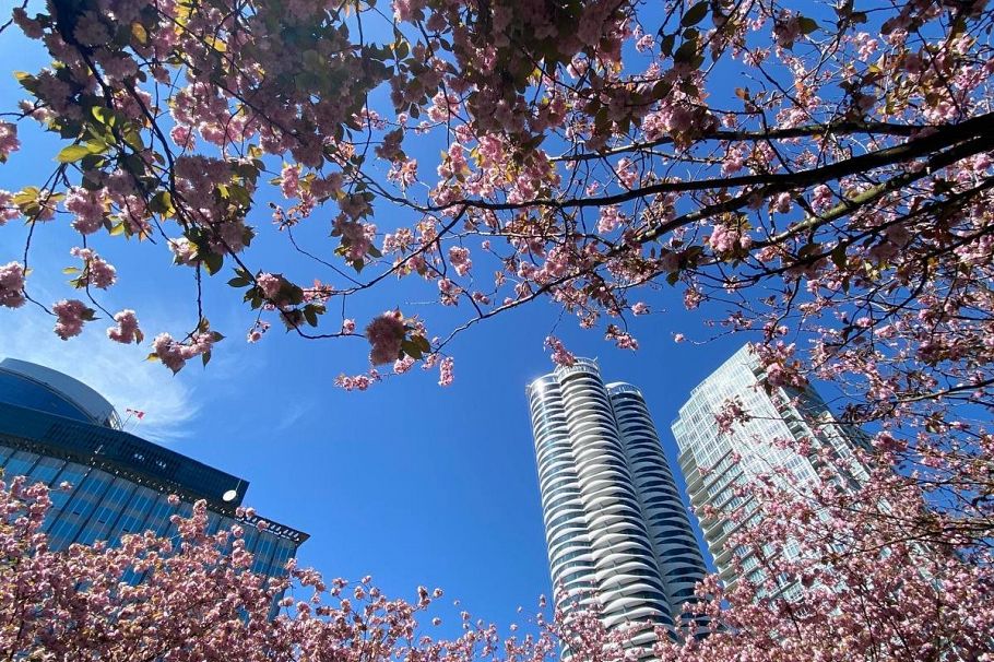 2205 938 Smithe Street Vancouver, BC - 34