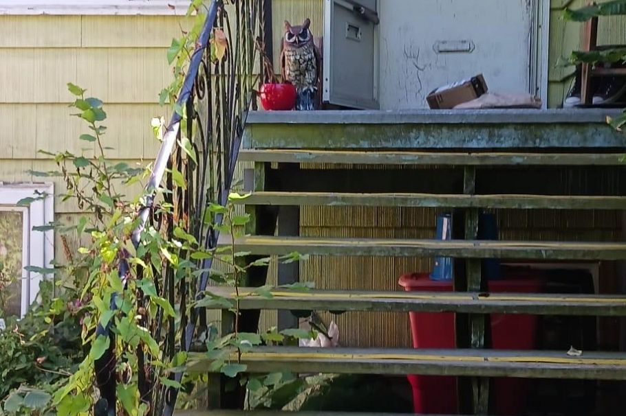 1824 E 11th Avenue Vancouver, BC - 1