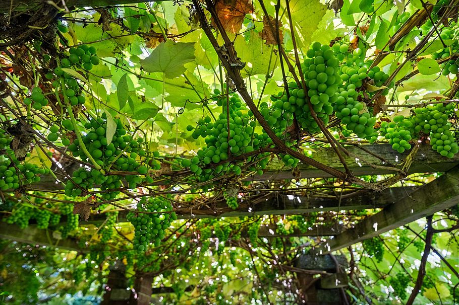 2206 SW Marine Drive Vancouver, BC - 39