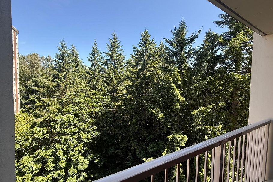 1008 2004 Fullerton Avenue North Vancouver, BC - 9