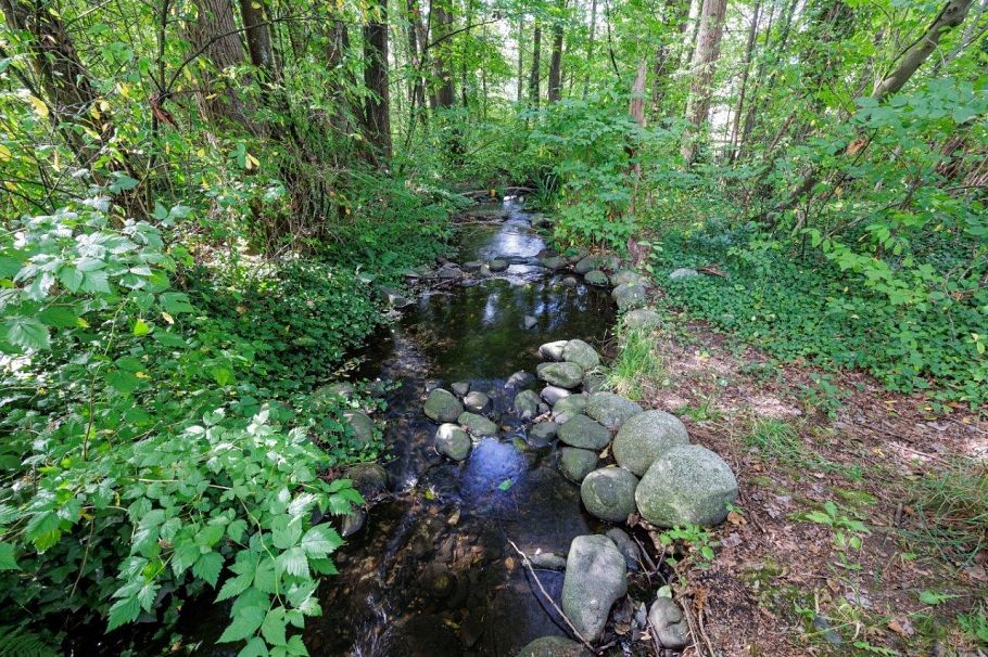 347 Seymour River Place North Vancouver, BC - 17