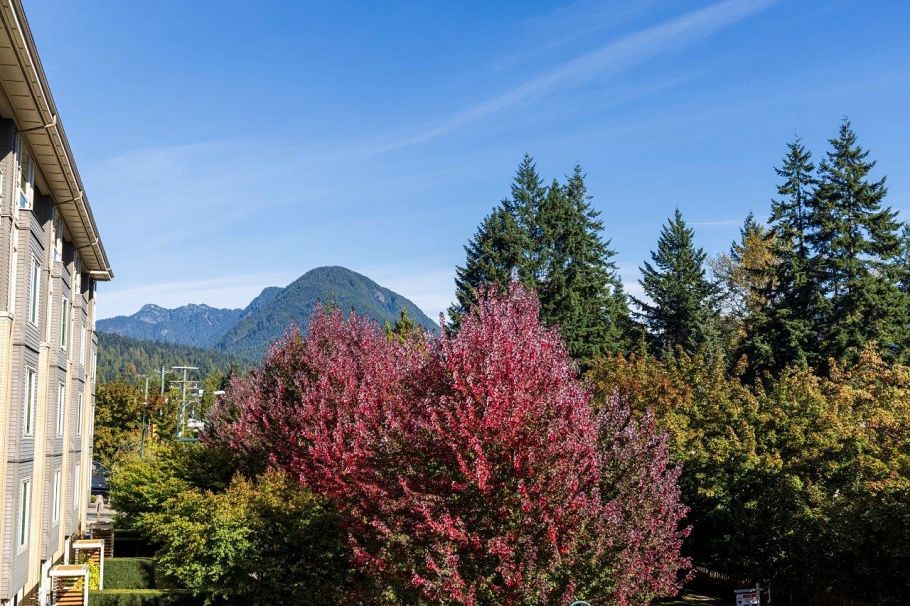 301 2665 Mountain Highway North Vancouver, BC - 30