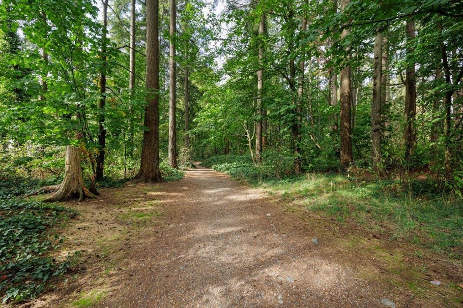 347 Seymour River Place North Vancouver, BC - 18