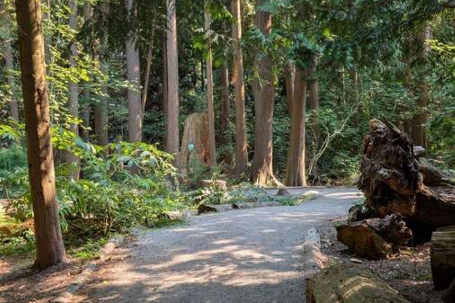 103 2375 Emery Court North Vancouver, BC - 30