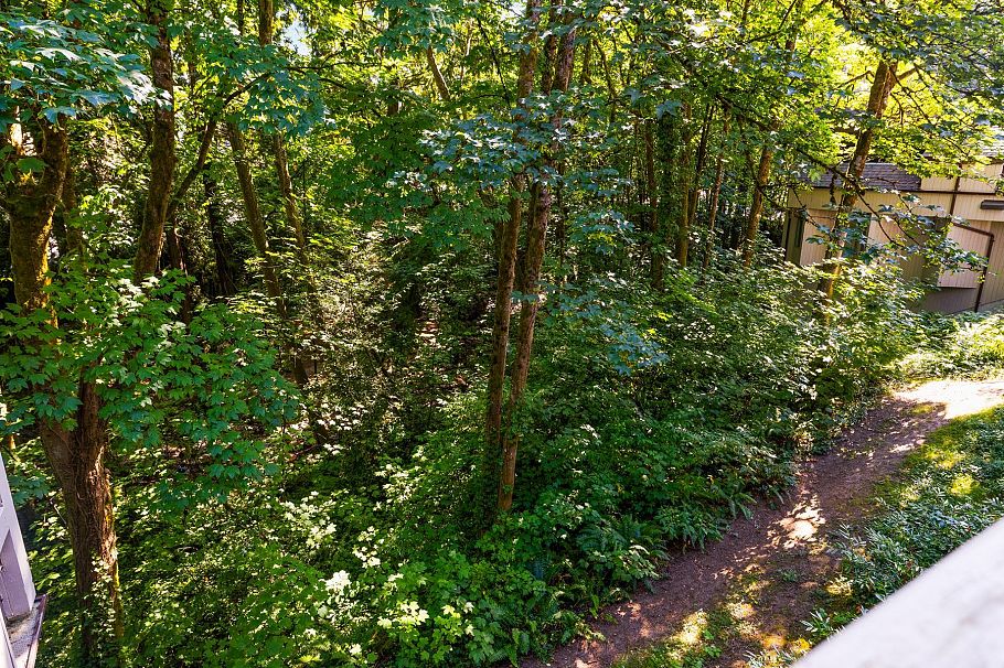 3182 Mountain Highway North Vancouver, BC - 29