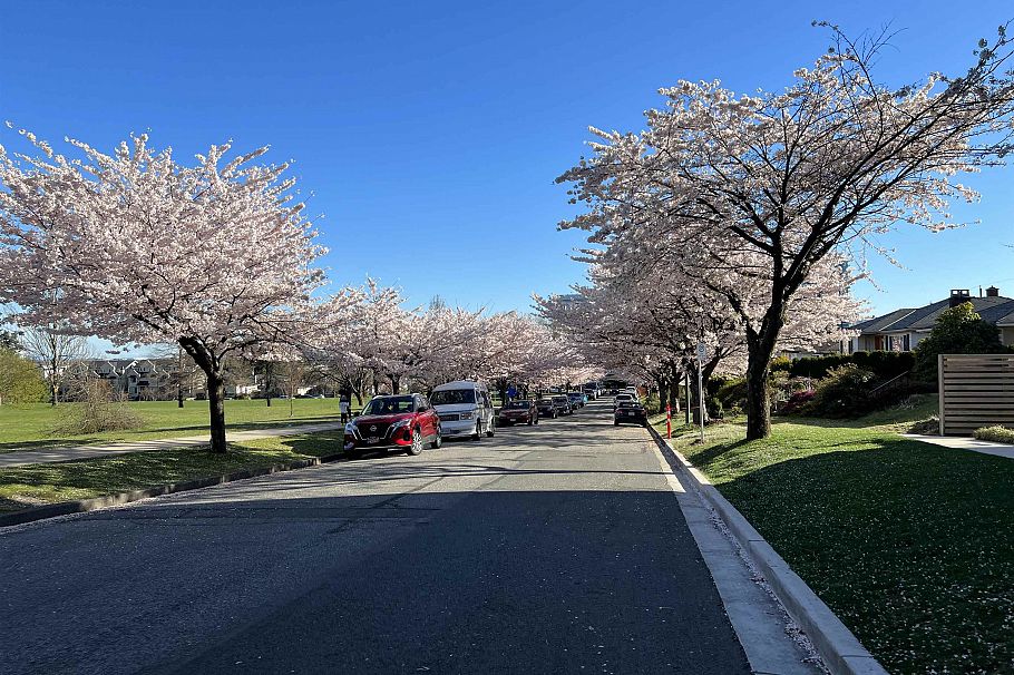 106 477 W 59th Avenue Vancouver, BC - 39