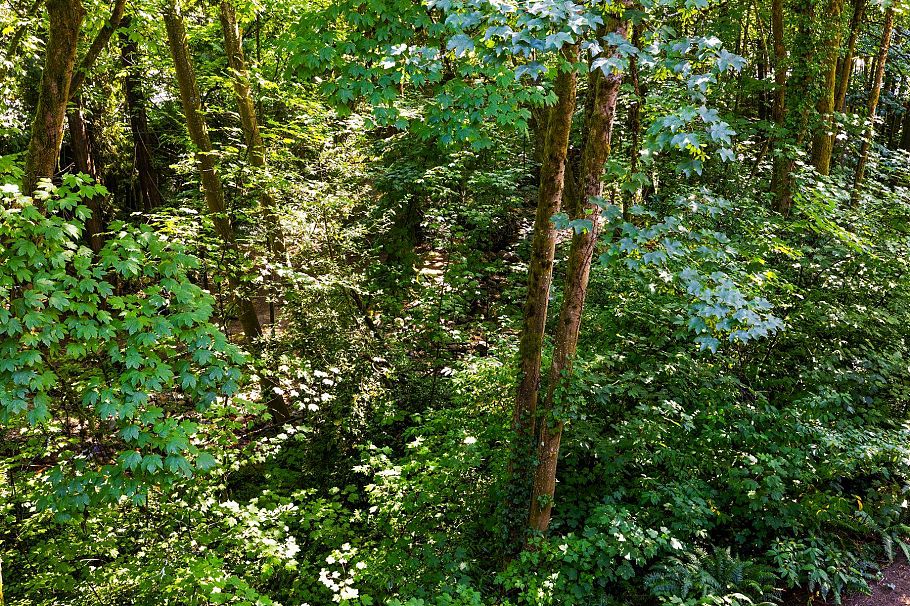 3182 Mountain Highway North Vancouver, BC - 30