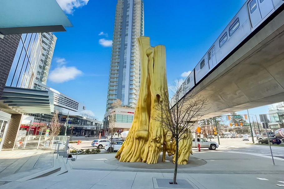 1004 8131 Nunavut Lane Vancouver, BC - 27