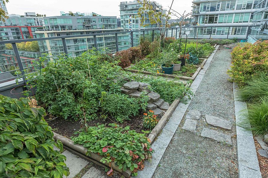 605 123 W 1st Avenue Vancouver, BC - 23