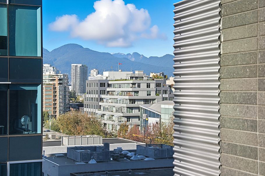 209 522 W 8th Avenue Vancouver, BC - 23