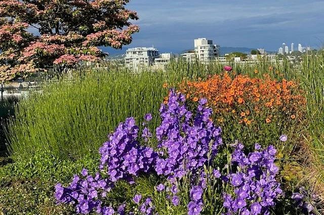 1402 181 W 1st Avenue Vancouver, BC - 30