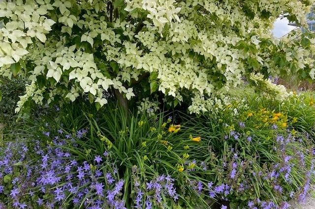 1402 181 W 1st Avenue Vancouver, BC - 31