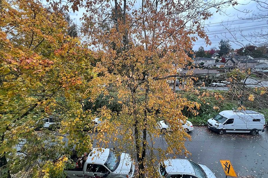 1950 E Kent South Avenue Vancouver, BC - 17