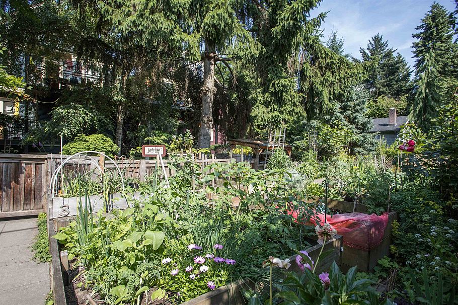 2 1152 Comox Street Vancouver, BC - 37