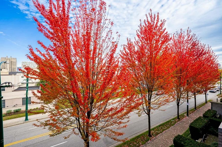 310 750 W 12th Avenue Vancouver, BC - 28