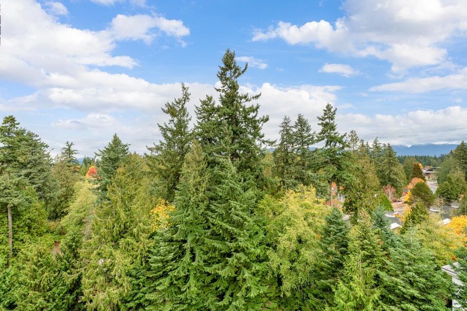 1204 5775 Hampton Place Vancouver, BC - 26