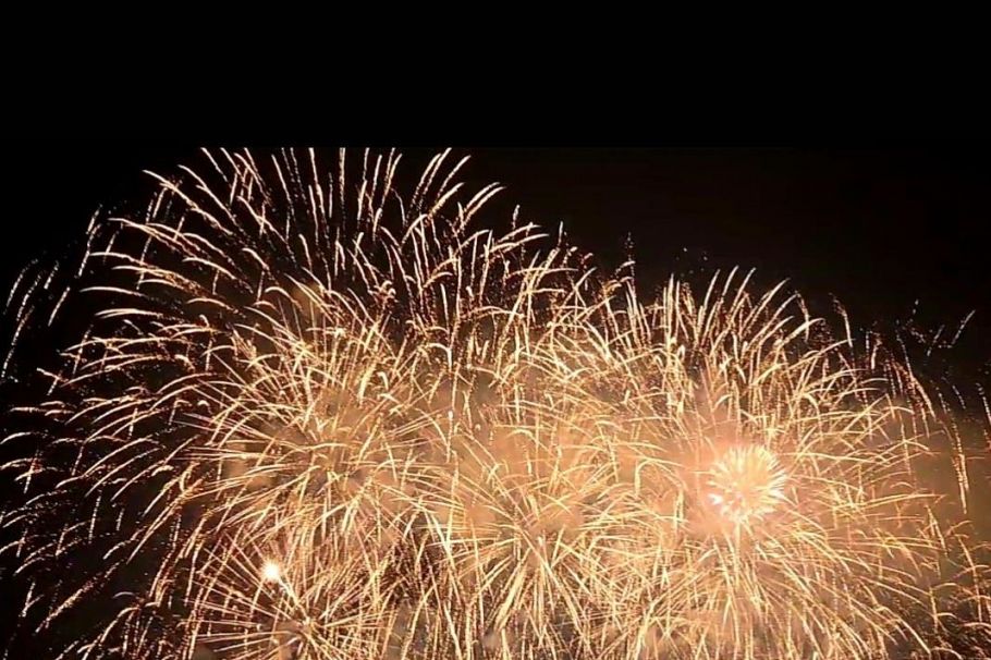 2901 1200 Alberni Street Vancouver, BC - 30