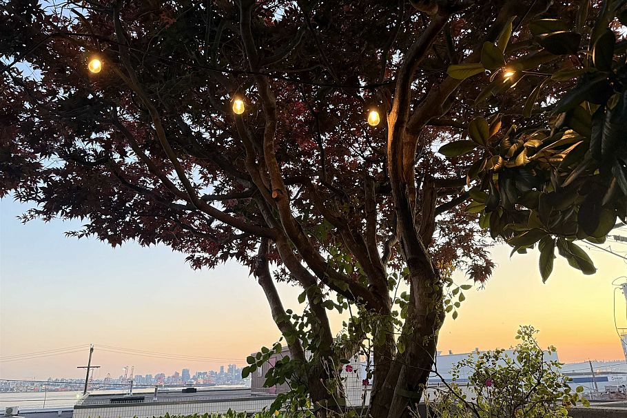 105 333 E 1st Street North Vancouver, BC - 27