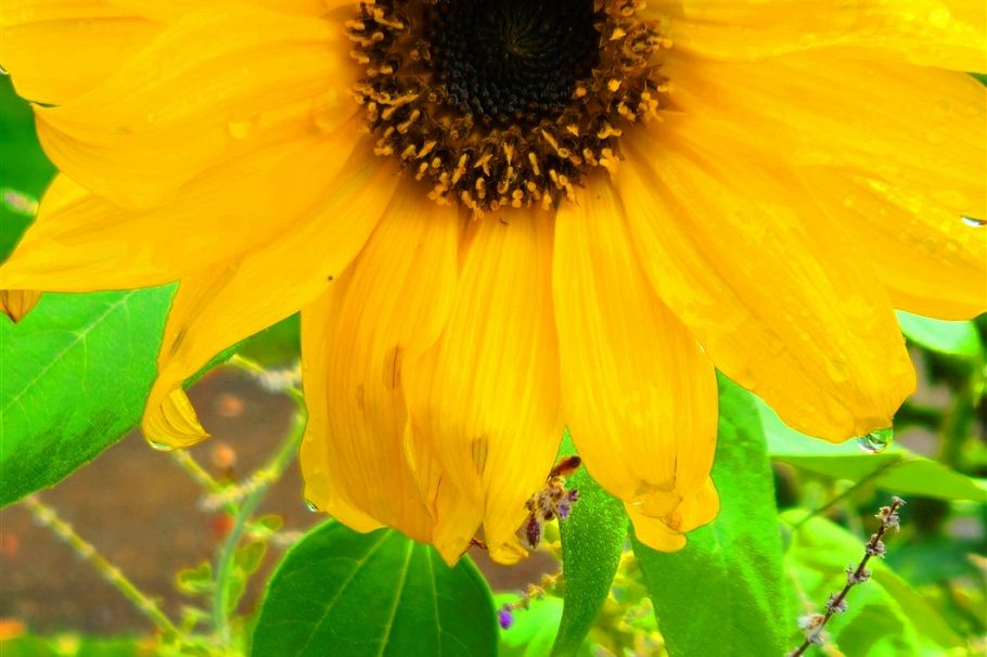 1072 E 55th Avenue Vancouver, BC - 4