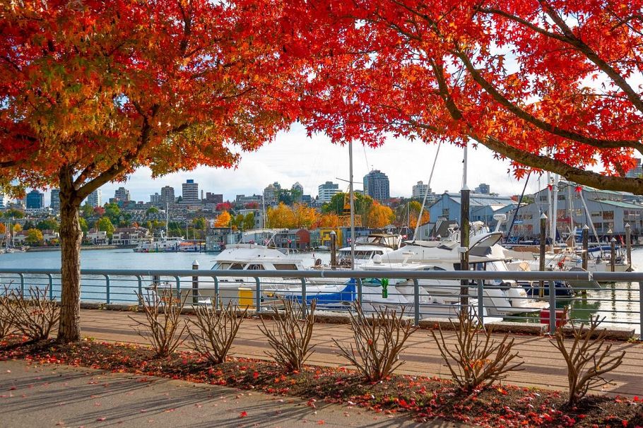 305 638 Beach Crescent Vancouver, BC - 37