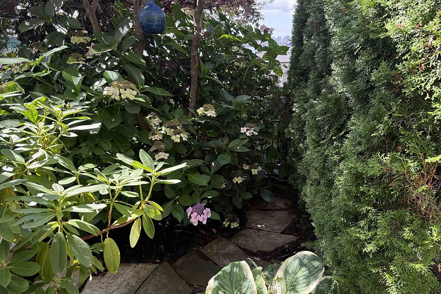 105 333 E 1st Street North Vancouver, BC - 25