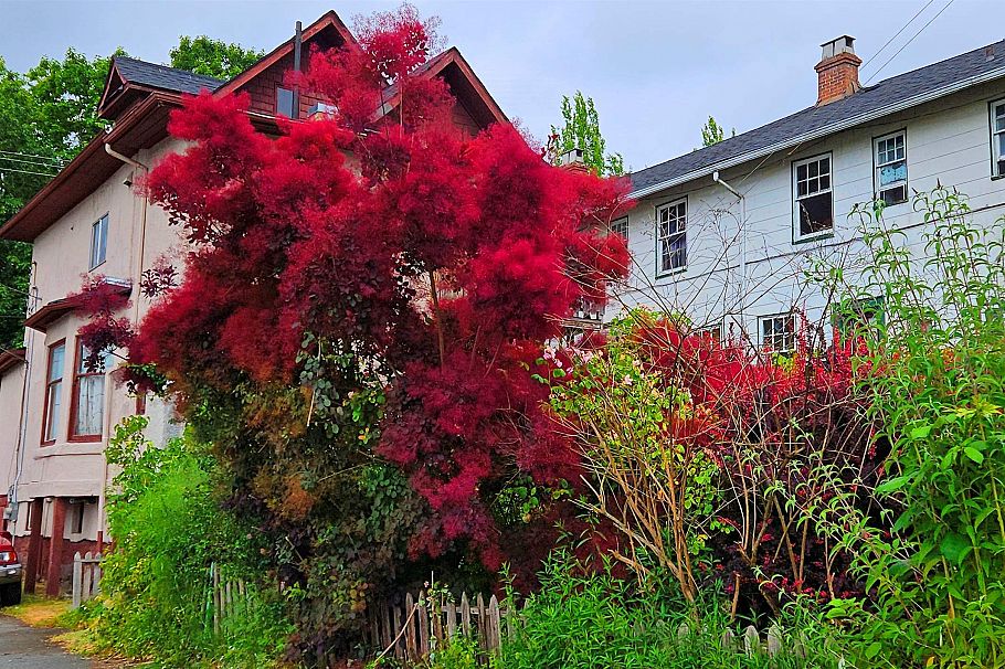 1332 E 2nd Avenue Vancouver, BC - 8