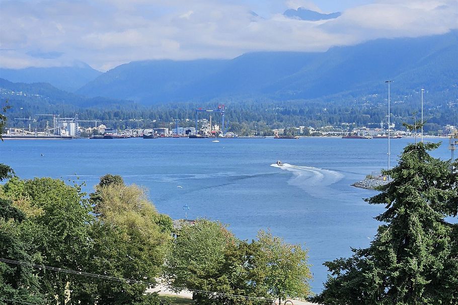 201 55 ALEXANDER, Vancouver BC V6A 1B2 Vancouver, BC - 16