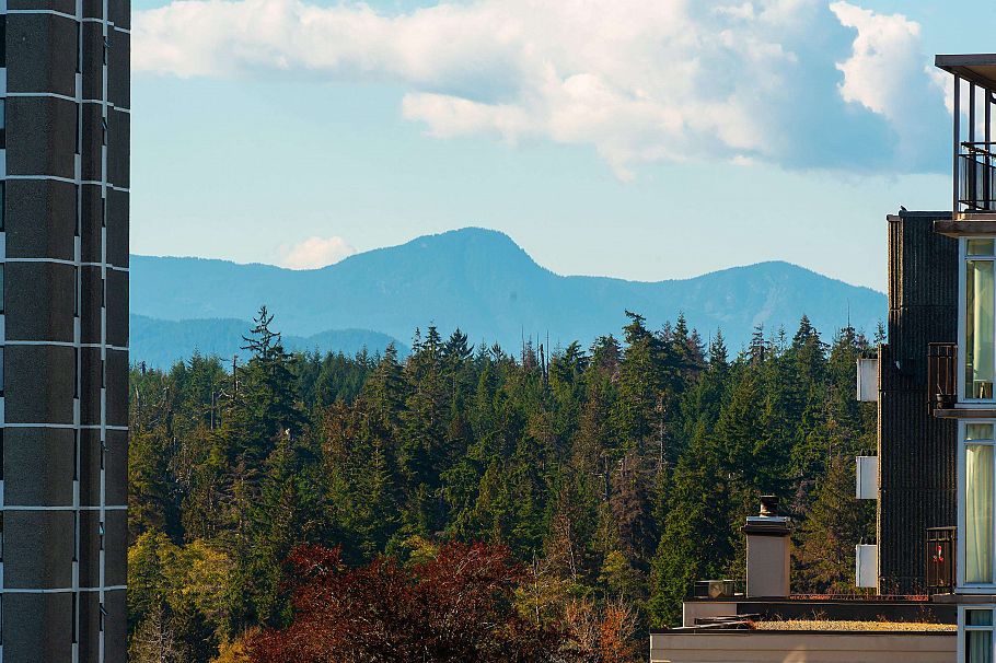 902 1860 Robson Street Vancouver, BC - 30