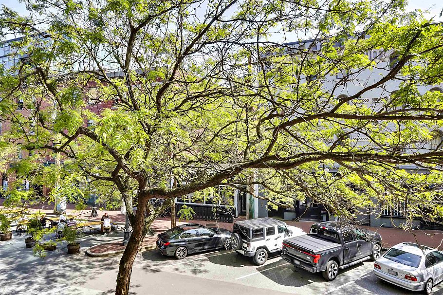 201 55 ALEXANDER, Vancouver BC V6A 1B2 Vancouver, BC - 9