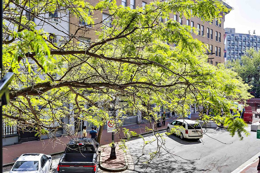 201 55 ALEXANDER, Vancouver BC V6A 1B2 Vancouver, BC - 10