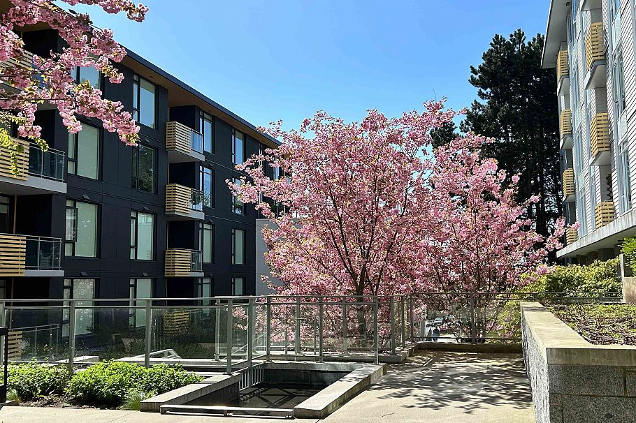 609 7428 Alberta Street Vancouver, BC - 1