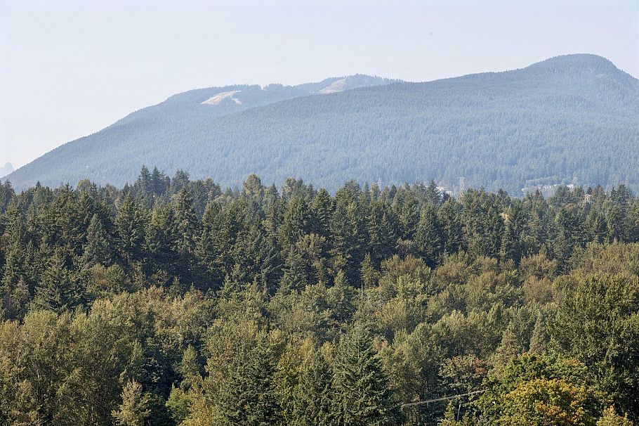 1702 1550 Fern Street North Vancouver, BC - 25