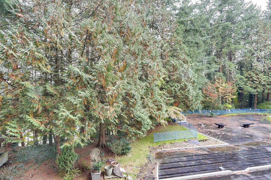 303 2004 Fullerton Avenue North Vancouver, BC - 20