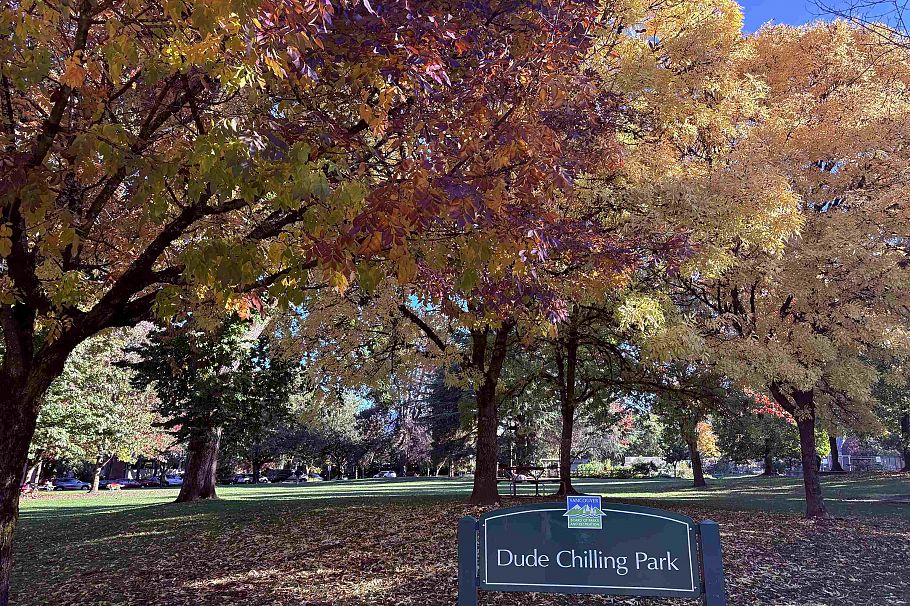 301 330 E 7th Avenue Vancouver, BC - 24