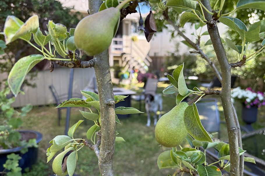 1688 E 29th Avenue Vancouver, BC - 27