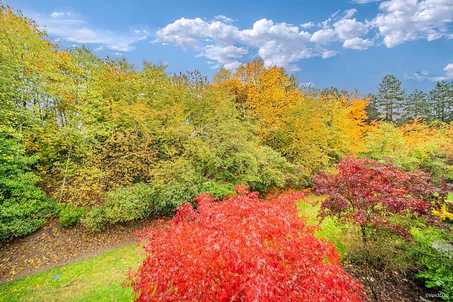 408 4373 Halifax Street Burnaby, BC - 23