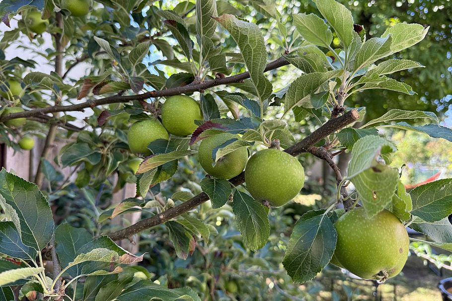 1688 E 29th Avenue Vancouver, BC - 25