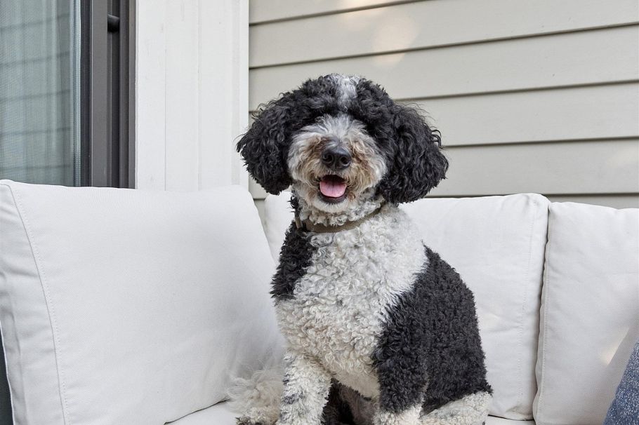 319 1422 E 3rd Avenue Vancouver, BC - 23