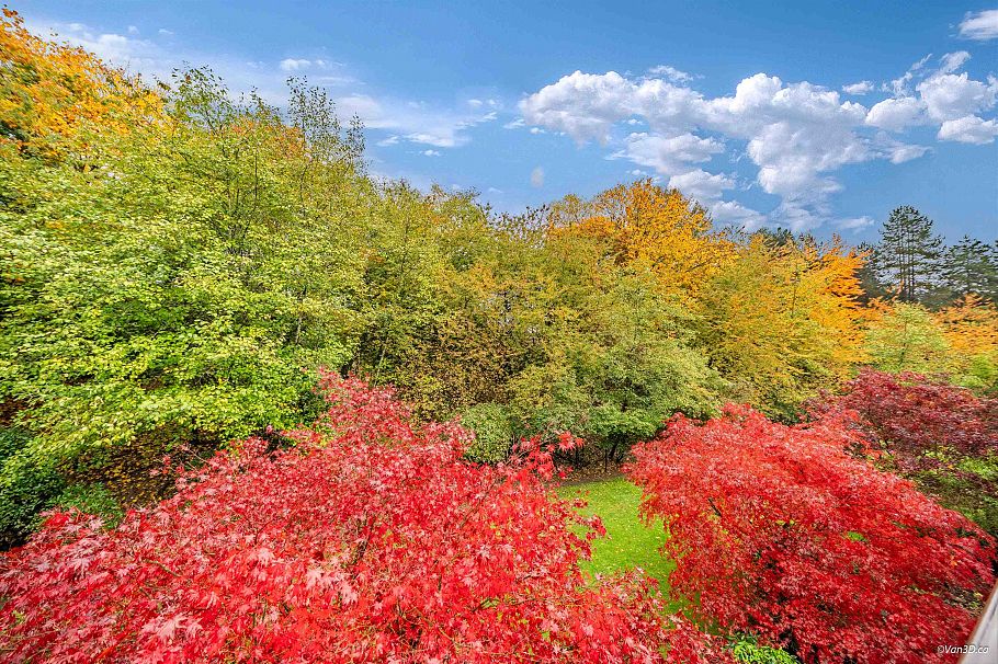 408 4373 Halifax Street Burnaby, BC - 24