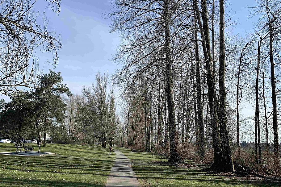 3304 Wellington Avenue Vancouver, BC - 33