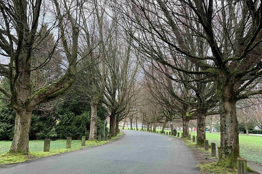 3304 Wellington Avenue Vancouver, BC - 32