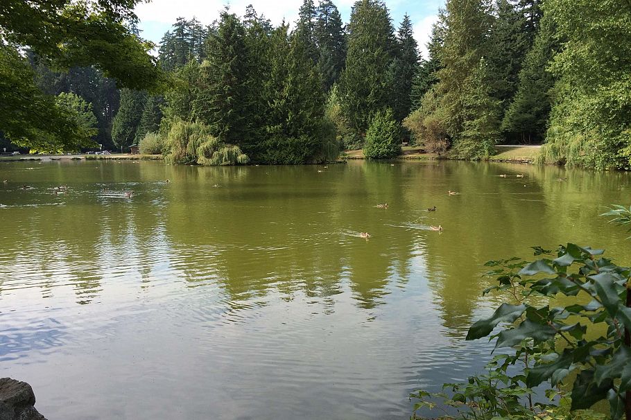 3304 Wellington Avenue Vancouver, BC - 34