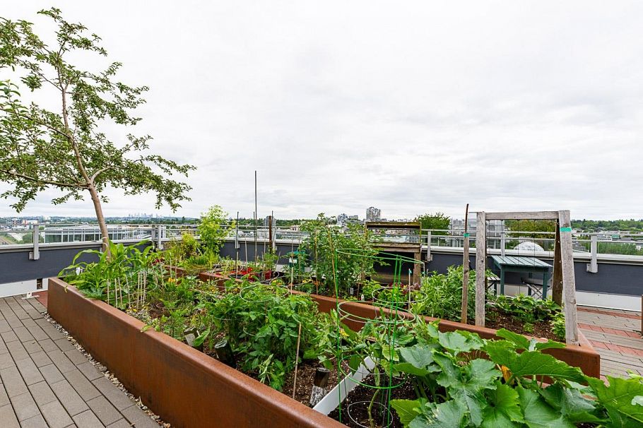 905 161 E 1st Avenue Vancouver, BC - 26