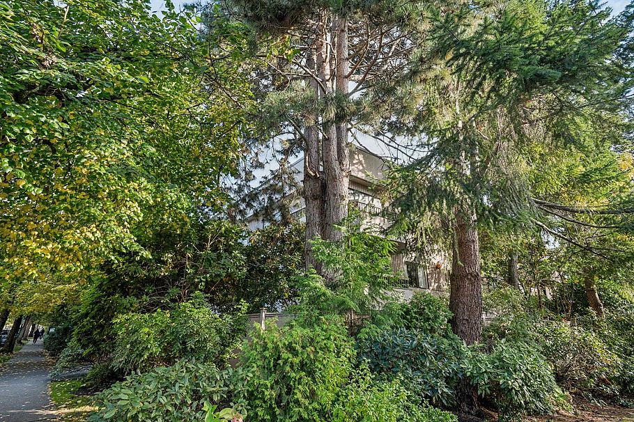 104 2190 W 8th Avenue Vancouver, BC - 25