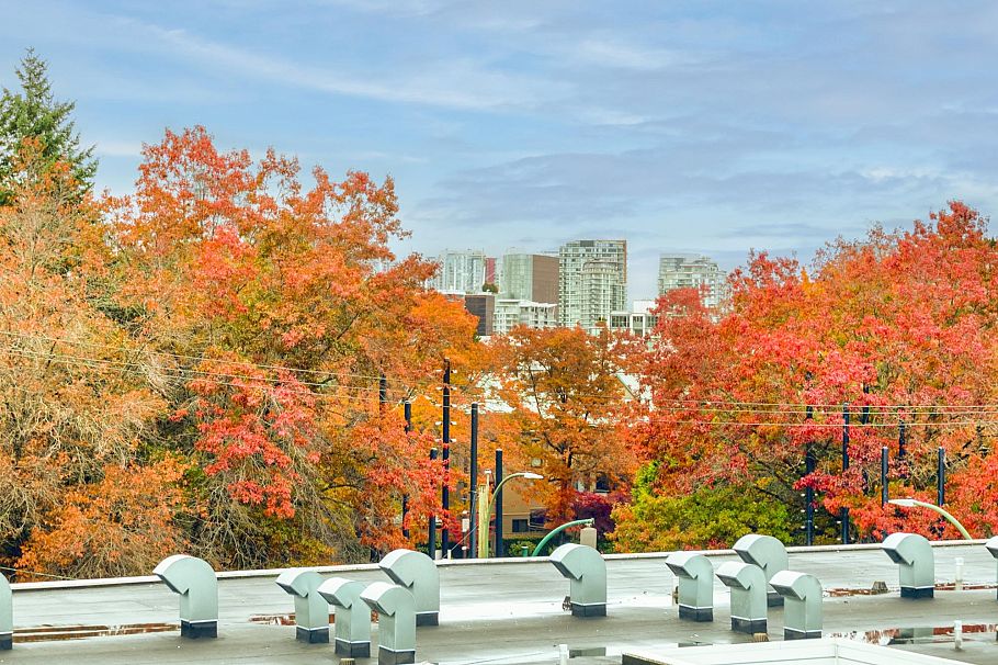 2222 Willow Street Vancouver, BC - 5